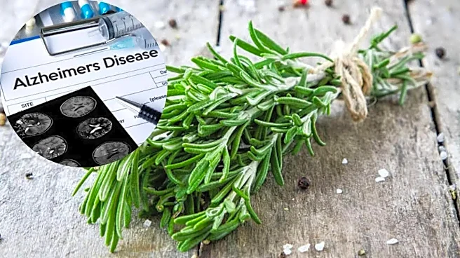 This Ancient Herb Could Boost Memory, Reduce Anxiety and Fight Alzheimer’s
