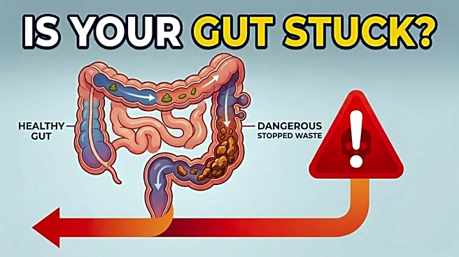 How Long Waste Stays Inside You Might Be More Dangerous Than You Think