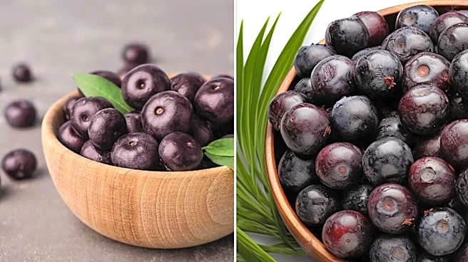 6 Reasons Acai Berries Are Good for You