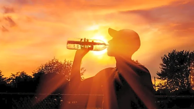 Heatwave Alert: 5 DIY Tests to Detect Dehydration Early