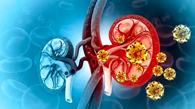 A Simple Rupees 300 Test Can Catch Chronic Kidney Disease Early - Here’s Why Doctors Urge Screening