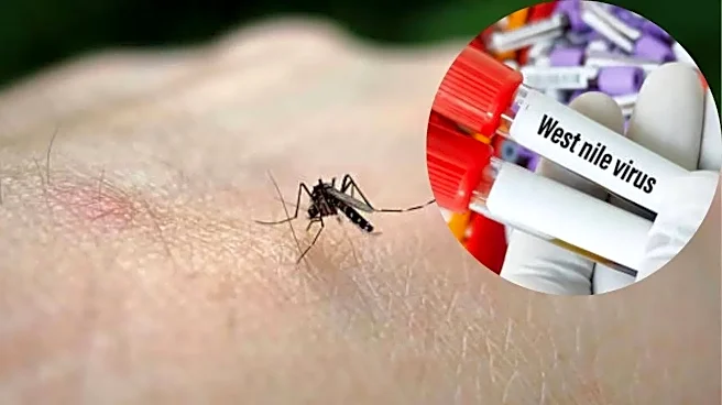 West Nile Fever Reported in Kerala: Mosquito-Borne Virus Raises Alert
