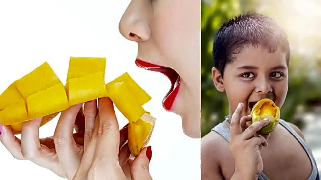 Do Mangoes Cause Body Heat? How Much is Too Much in Summer