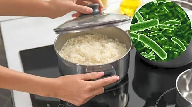 Reheated Rice Can Make You Sick - Here’s What You’re Doing Wrong