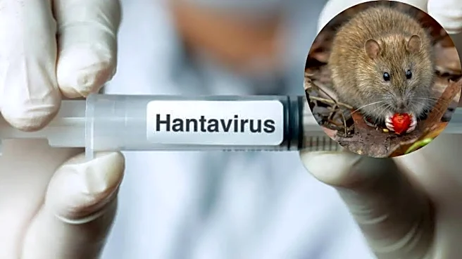 Hantavirus Latest: More Cases Confirmed on Cruise Ship - WHO Says ‘Not Another COVID-19’