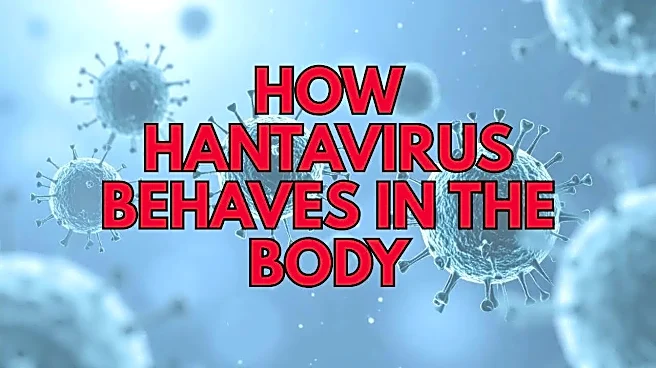 What Happens When Hantavirus Enters The Human Body – A Virus Considered Rare In Humans