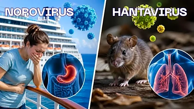 Norovirus vs Hantavirus: Crucial Differences Travellers Need to Know After Cruise Ship Illness Outbreak