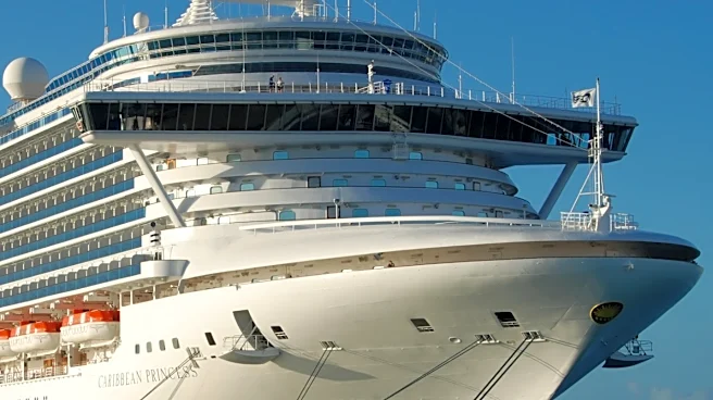 Norovirus Outbreak On Cruise Ship Infects 115: Symptoms, Causes, How It Spreads, And All You Need To Know