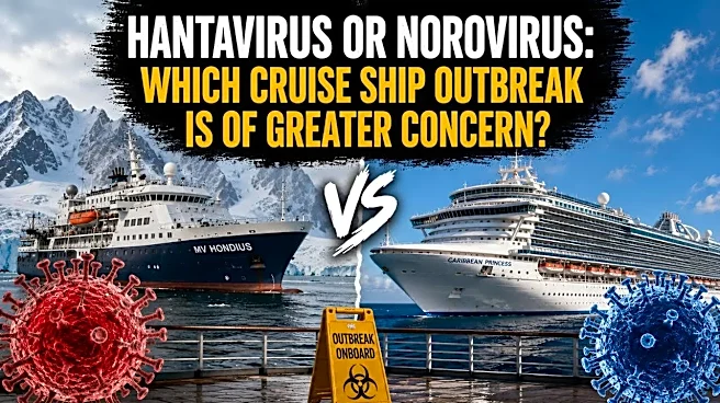 Hantavirus Or Norovirus: Which Cruise Ship Outbreak Should Concern Us More?
