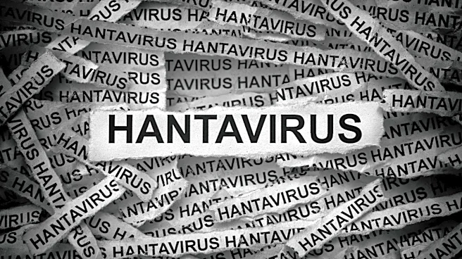 Hantavirus Outbreak On Dutch Cruise Ship: How to Prepare For A Healthy and Safe Cruise Trip