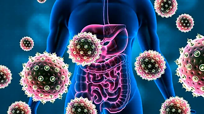 Salmonella Cases in England Hit Decade High, Health Officials Urge Good Food Hygiene