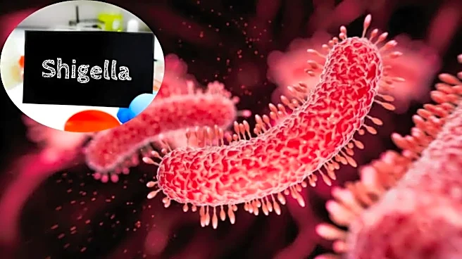 Deadly Shigella Infection Claims 4-Year-Old In Kerala - What Parents Need To Know About This Highly Contagious Disease