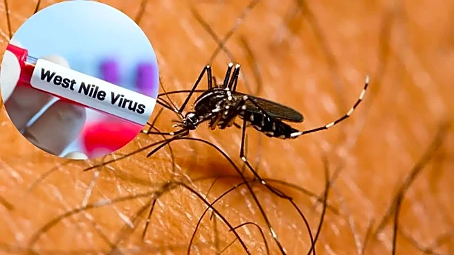High Alert In Kerala After Suspected West Nile Fever Death, Officials Urge Mosquito Control