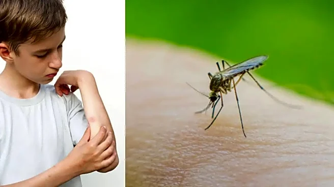 World Dengue Day: Why Mosquitoes Bite Some People More Than Others