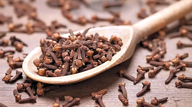 Why Chewing Cloves Every Morning Could Transform Your Health: 5 Science-Backed Benefits