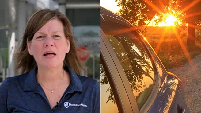 Top US Expert Explains Why Even 'Just Five Minutes' In A Hot Car Can Be Fatal
