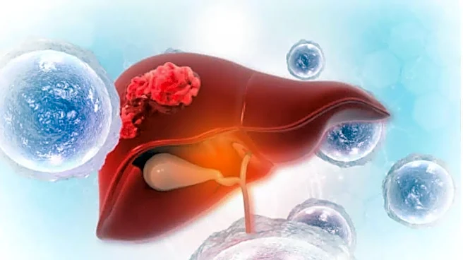 World Hepatitis Day: 5 Dangerous Myths That Could Delay a Life-Saving Diagnosis