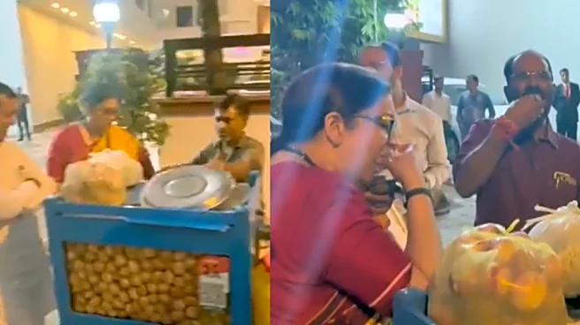 'Humko Teekha Dijiye': Smriti Irani Stops At Roadside Stall In Patna, Enjoys Pani Puri Amid Bihar Campaign | WATCH