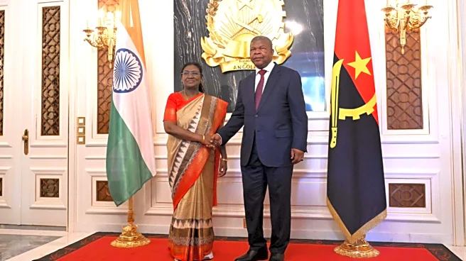 Not Just Oil — India, Angola Bet Big On Minerals, Diamonds and Digital Future