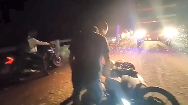 Insect Infestation In Odisha's Jajpur: Thousands of Insects Swarm Bridge, Cause Bikers To Fall - VIDEO