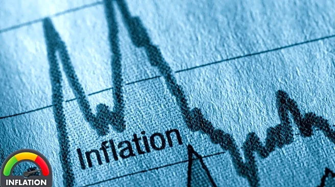 Retail Inflation Cools to a Record Low of 0.25% in October