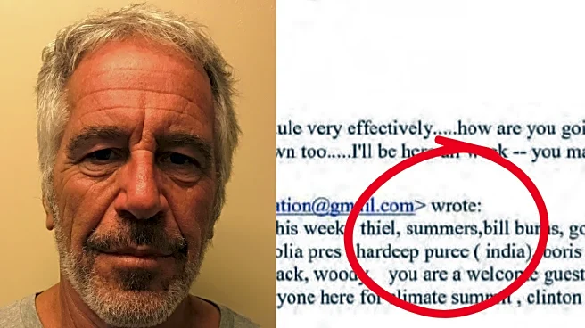 Why Was Hardeep Puri Mentioned In Epstein Email Thread? What BJP Said