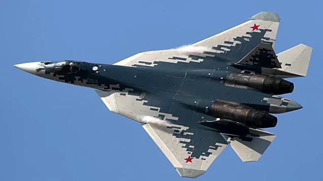 '5th Gen Su-57, Tech Transfer': Russia Offers India 'Whatever It Needs' to Scale Up Defence Capabilities