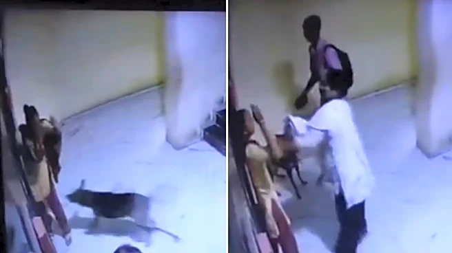 Shocking! Pet Dog Attacks Woman in Gujarat's Rajkot, Owner Slaps Victim Instead of Helping- VIDEO
