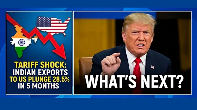 Tariff Shock: Indian Exports to US Plunge 28.5% in 5 Months - What's Next?