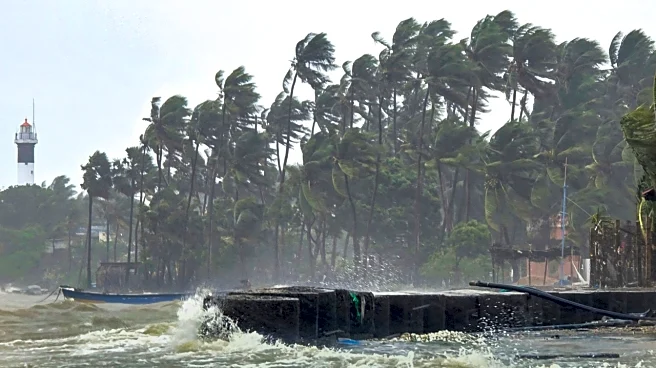 Cyclone Ditwah Downgrades to Deep Depression, Says IMD; Chennai, Delta Districts Brace for More Rain