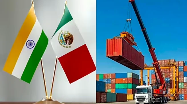 India Says It Remains 'Engaged' With Mexico Over 50% Tariff Hike, Vows To Take 'Appropriate Measures'
