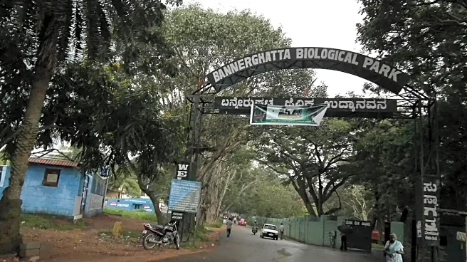 Bengaluru’s Aravalli Moment? Why SC Panel Will Be Visiting Bannerghatta National Park Today