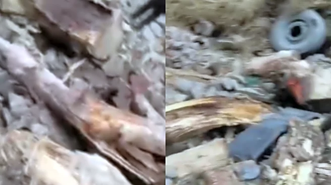 Doda Tragedy: 10 Army Jawans Killed After Vehicle Falls Into 200-Foot Gorge, J&K LG Mourns Loss of Lives