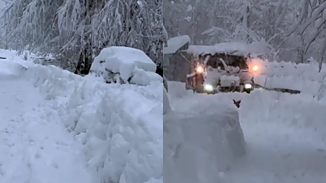 Kashmir, Srinagar Blanketed in Snow: Flights Halted, Highways Closed, Airlines Issue Advisory - Video