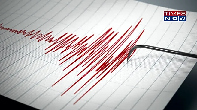 Tremors in the Neighbourhood: 4.1 Quake in Afghanistan, 3.4 in Tibet; Was India Affected?