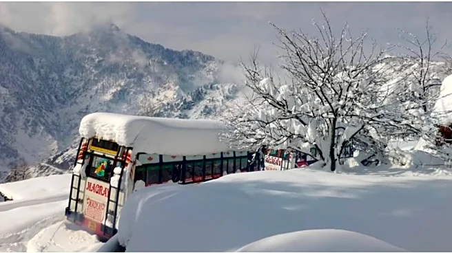 Kashmir Frozen by Heavy Snowfall; Thousands of Cars Stranded, 11 Flights Cancelled
