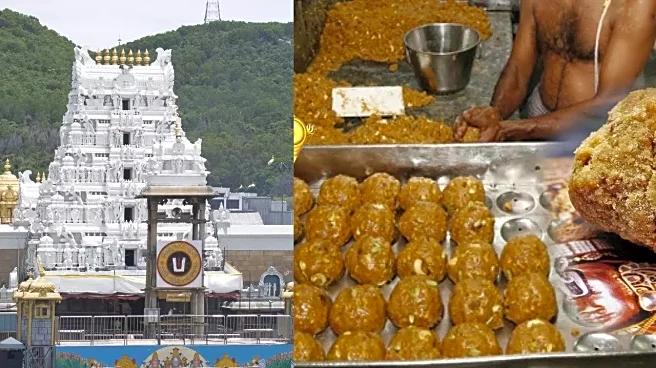 TTD Laddu Ghee Heavily Adulterated With Vegetable Oils: SIT Chargesheet Exposes Hawala Link