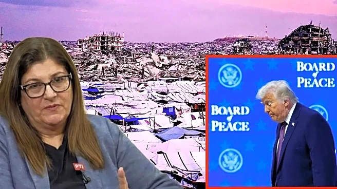 'India Will Decide...': What Palestine's Foreign Minister Said on New Delhi's Role in Gaza Peace Board