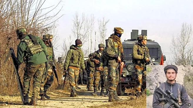 Operation Kiya: Two Jaish Terrorists, Holed Up in Cave, Neutralised in Udhampur; M4, AK Series Rifle Recovered