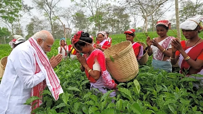 PM Modi in Assam's Tea Garden - Plucks Tea leaves, Interact With Workers Days Before Polls - See Photos