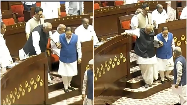 Rare Gesture In Rajya Sabha: Nadda Extends Helping Hand To Kharge- VIDEO