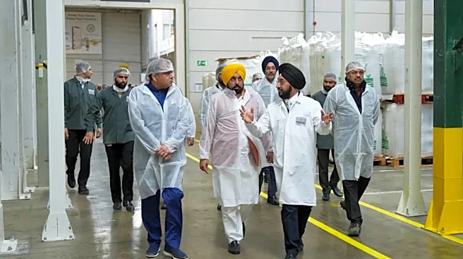 Punjab To Have Centre of Excellence for Basmati To Push Crop Diversification: CM Bhagwant Mann