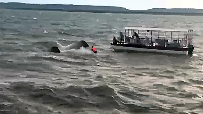 9 Dead As Cruise Boat With 29 People Overturns in Madhya Pradesh's Jabalpur - VIDEO