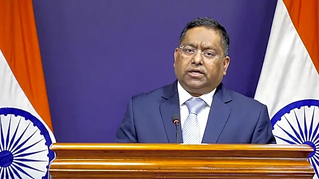 'Quad Not Against Anybody, It's About Doing Projects On...': MEA