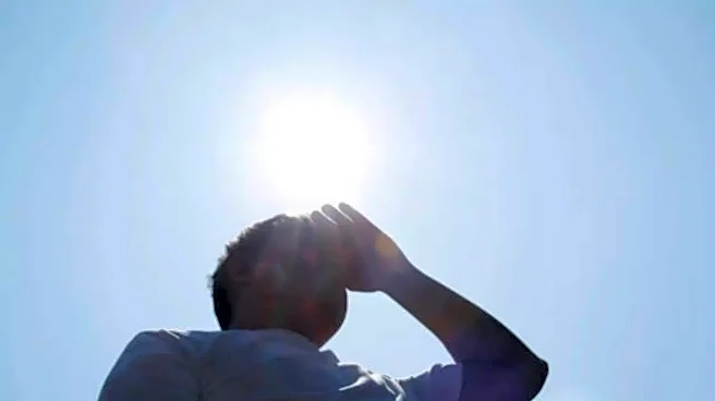 What's Holding Back The Monsoon? Scientists Cite Indian Ocean Changes, El Nino Threat