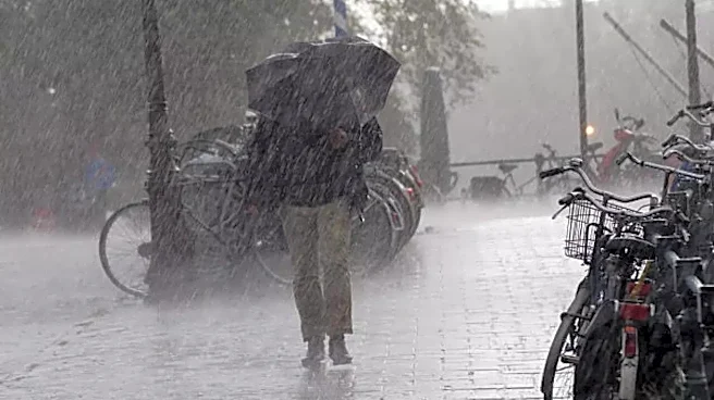 Monsoon Is Here, But Will India Get Enough Rain This Year? Check IMD's Prediction