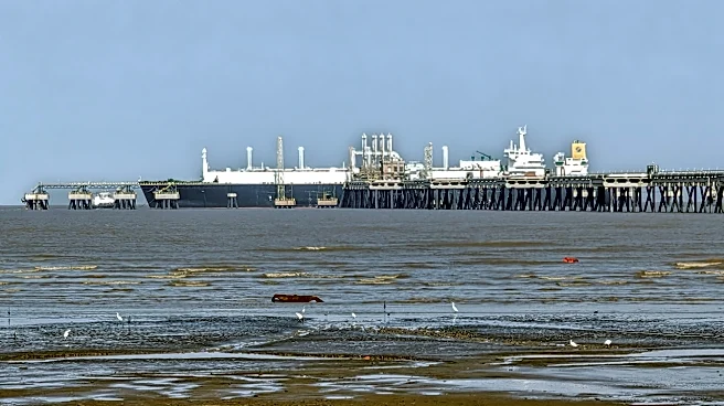 First LNG Carrier Reaches India Via War-Hit Hormuz Since US-Iran Conflict Began - VIDEO