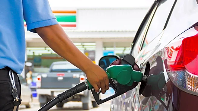 Govt Explains Why There's No Choice Between Pure Petrol, E10, and E20