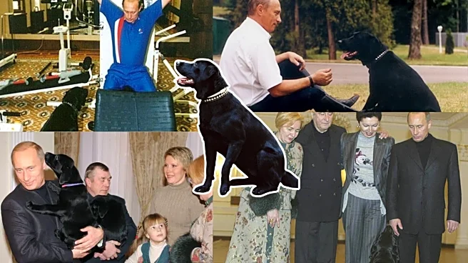 Koni, Vladimir Putin’s Loyal Dog: The Pet Who Knew How to Calm Russia’s Strongman