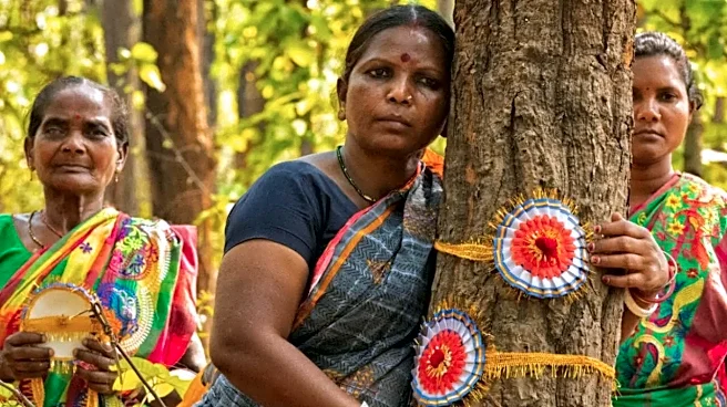 Jamuna Tudu, the Lady Tarzan, and Her Fight Against the Timber Mafia